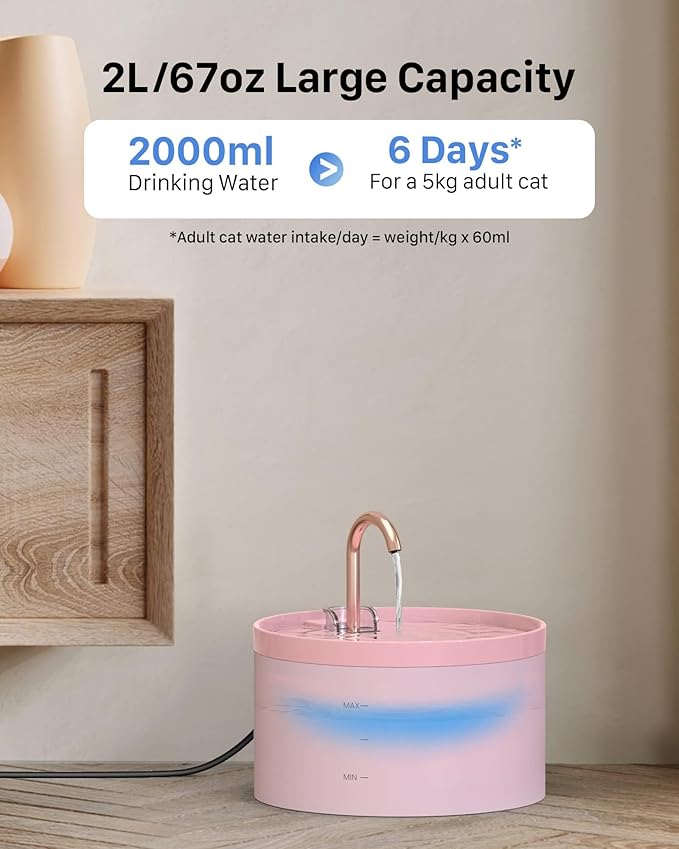 Pink Cat Water Fountain – 2.4L Transparent Tank with Stainless Steel Spout and Ultra-Quiet USB Operation
